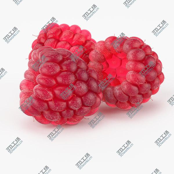 images/goods_img/20210312/Realistic Raspberry/5.jpg
